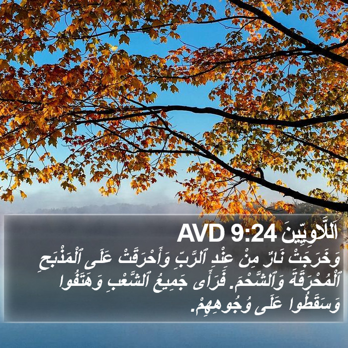 اَللَّاوِيِّينَ 9:24 AVD Bible Study