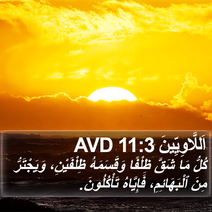 اَللَّاوِيِّينَ 11:3 AVD Bible Study
