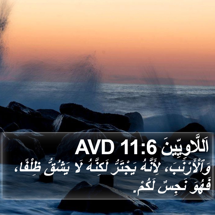 اَللَّاوِيِّينَ 11:6 AVD Bible Study
