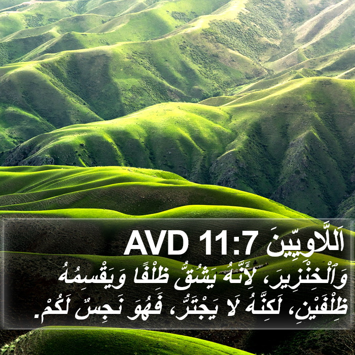 اَللَّاوِيِّينَ 11:7 AVD Bible Study
