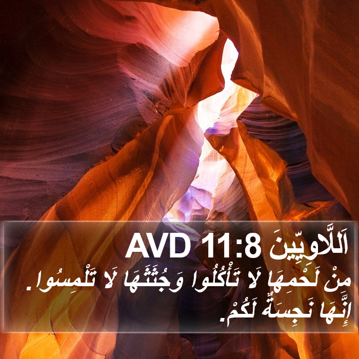 اَللَّاوِيِّينَ 11:8 AVD Bible Study