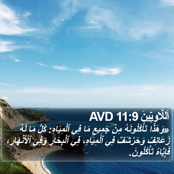 اَللَّاوِيِّينَ 11:9 AVD Bible Study