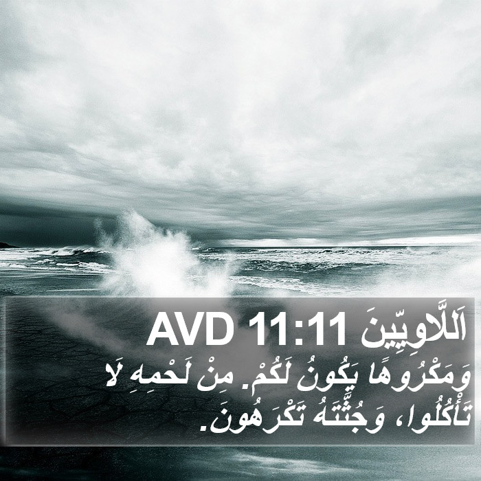 اَللَّاوِيِّينَ 11:11 AVD Bible Study