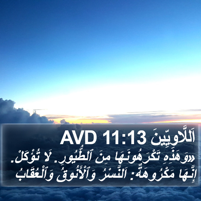 اَللَّاوِيِّينَ 11:13 AVD Bible Study