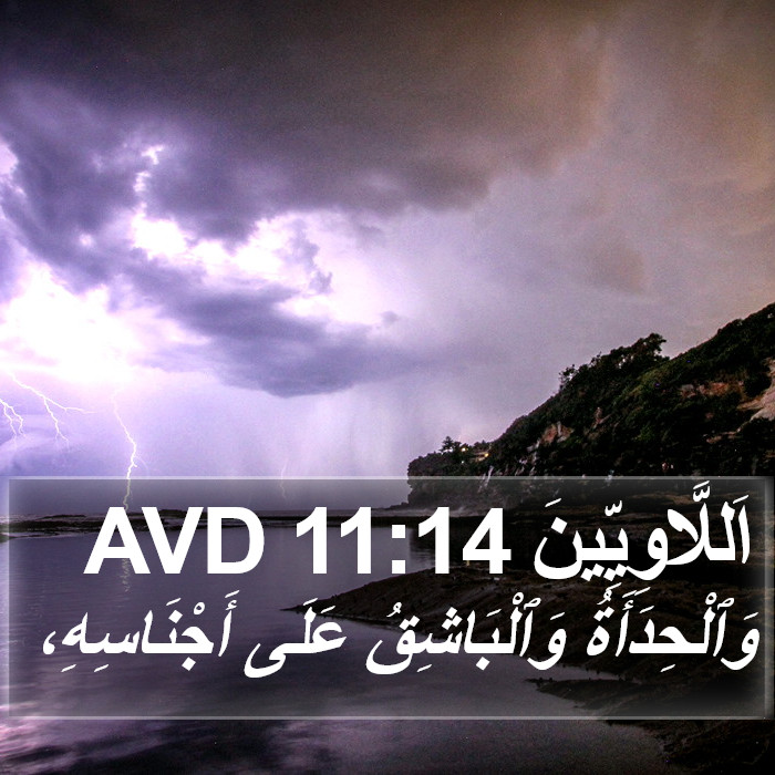 اَللَّاوِيِّينَ 11:14 AVD Bible Study