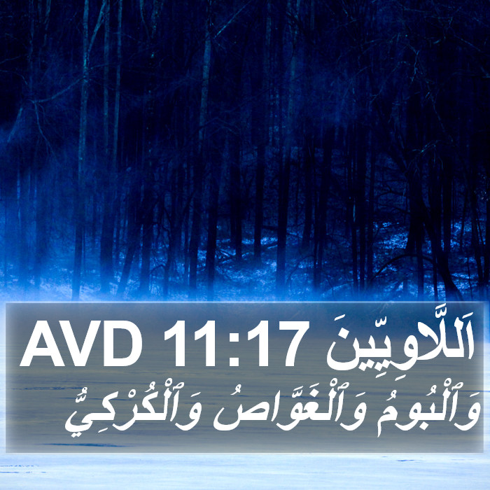 اَللَّاوِيِّينَ 11:17 AVD Bible Study