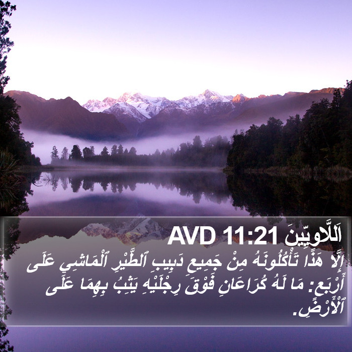 اَللَّاوِيِّينَ 11:21 AVD Bible Study