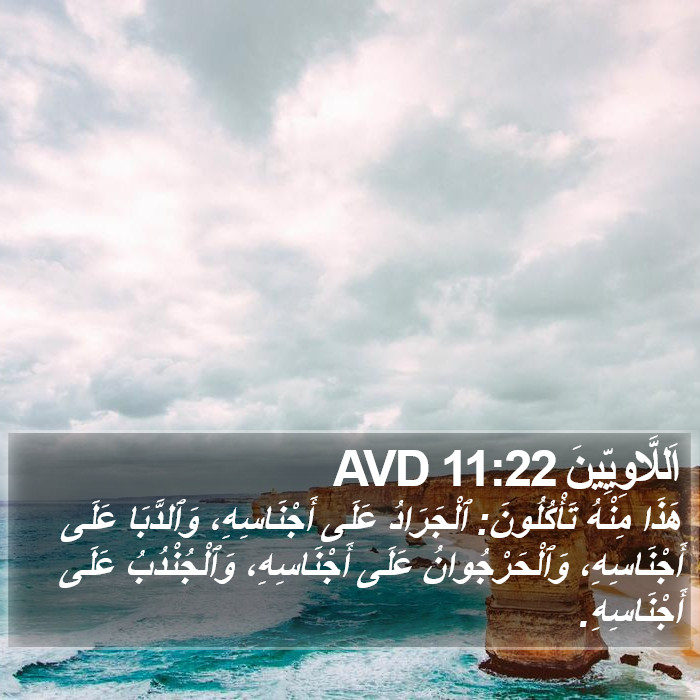 اَللَّاوِيِّينَ 11:22 AVD Bible Study