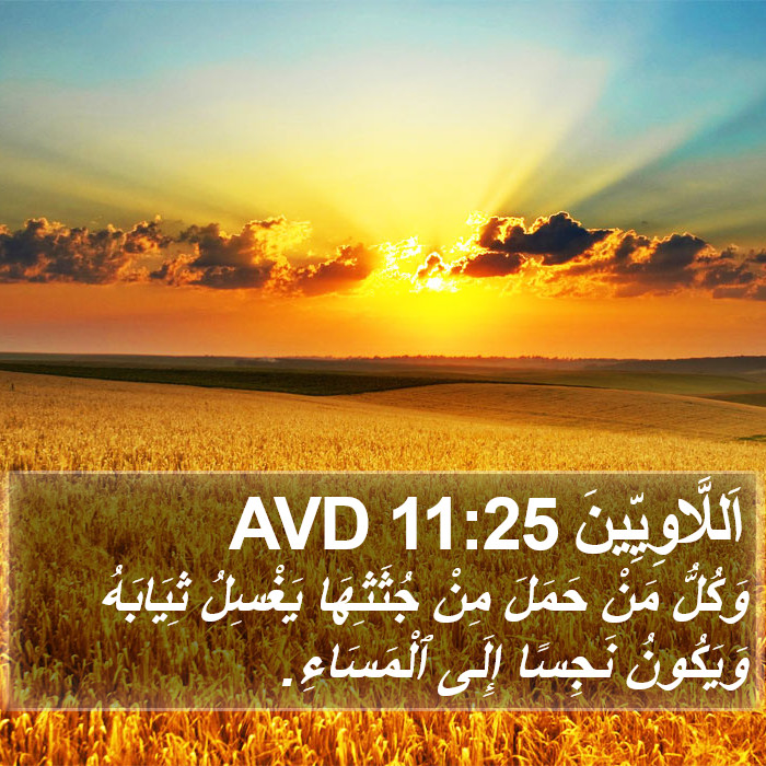 اَللَّاوِيِّينَ 11:25 AVD Bible Study