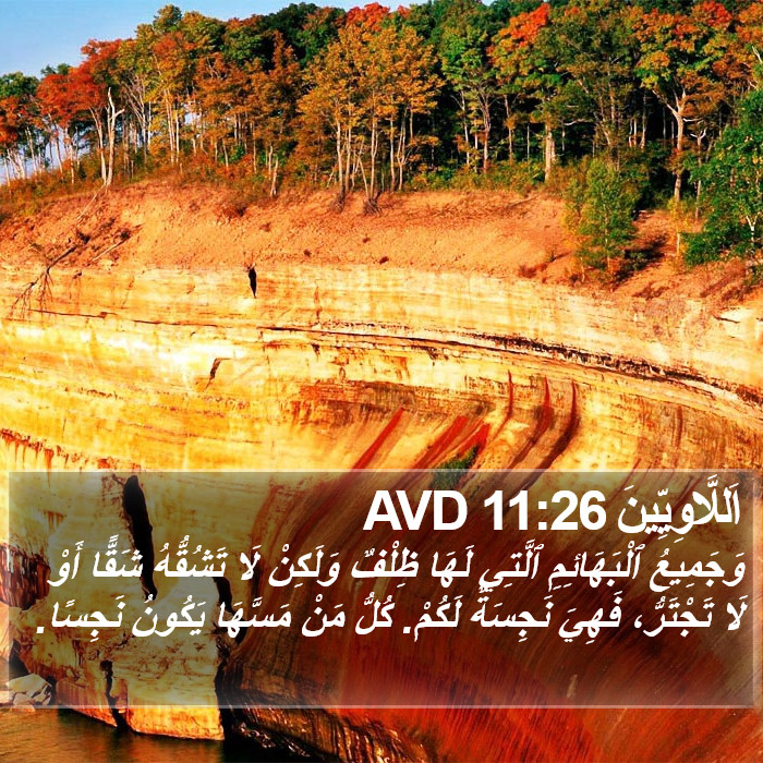 اَللَّاوِيِّينَ 11:26 AVD Bible Study