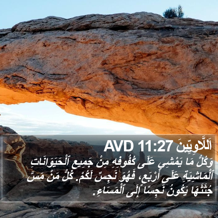 اَللَّاوِيِّينَ 11:27 AVD Bible Study