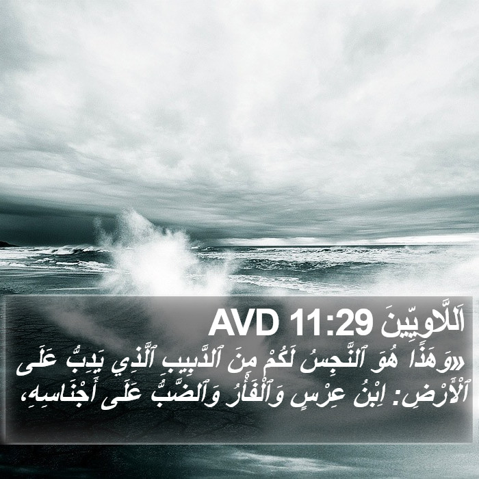اَللَّاوِيِّينَ 11:29 AVD Bible Study