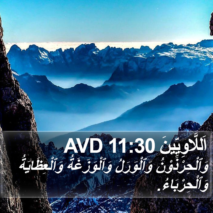 اَللَّاوِيِّينَ 11:30 AVD Bible Study