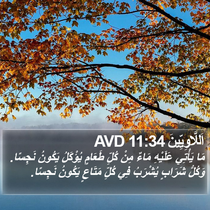 اَللَّاوِيِّينَ 11:34 AVD Bible Study
