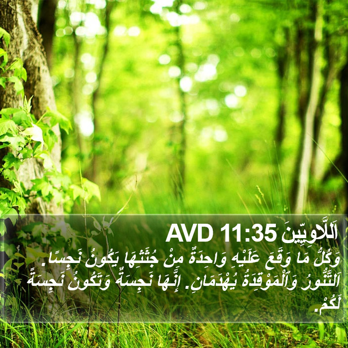 اَللَّاوِيِّينَ 11:35 AVD Bible Study