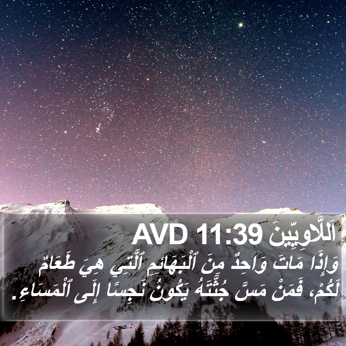 اَللَّاوِيِّينَ 11:39 AVD Bible Study