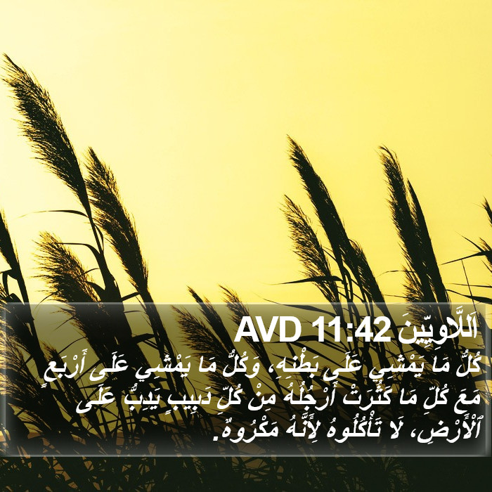 اَللَّاوِيِّينَ 11:42 AVD Bible Study