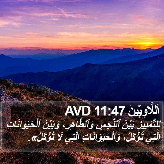 اَللَّاوِيِّينَ 11:47 AVD Bible Study