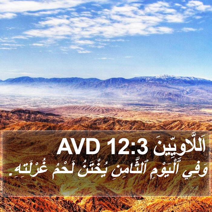 اَللَّاوِيِّينَ 12:3 AVD Bible Study