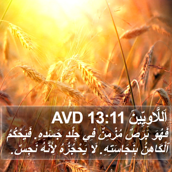 اَللَّاوِيِّينَ 13:11 AVD Bible Study