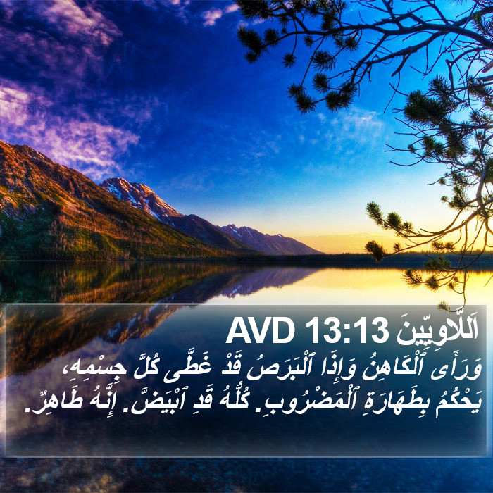 اَللَّاوِيِّينَ 13:13 AVD Bible Study