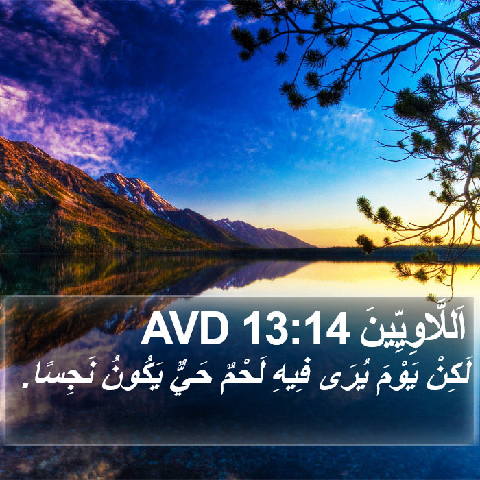 اَللَّاوِيِّينَ 13:14 AVD Bible Study