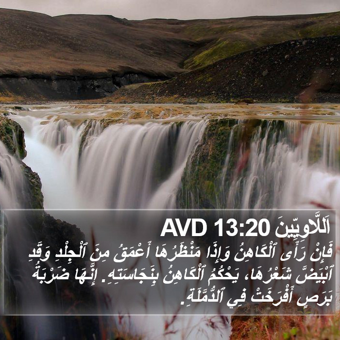 اَللَّاوِيِّينَ 13:20 AVD Bible Study