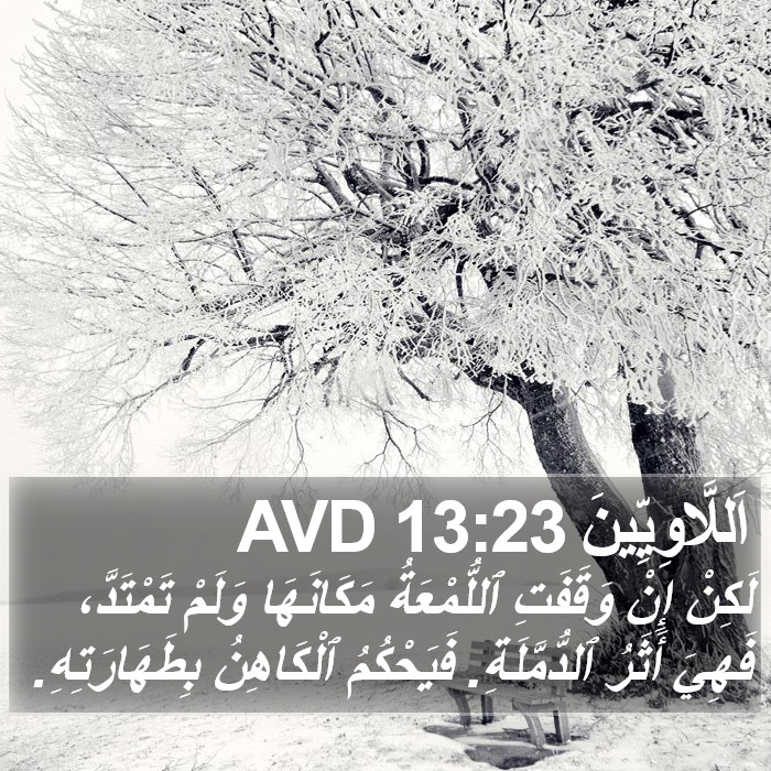 اَللَّاوِيِّينَ 13:23 AVD Bible Study