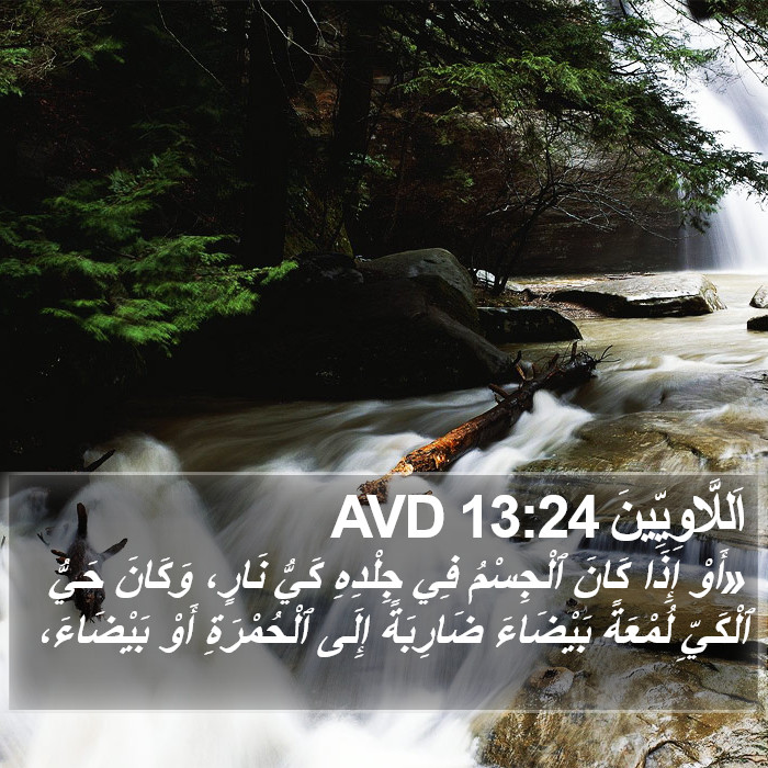 اَللَّاوِيِّينَ 13:24 AVD Bible Study