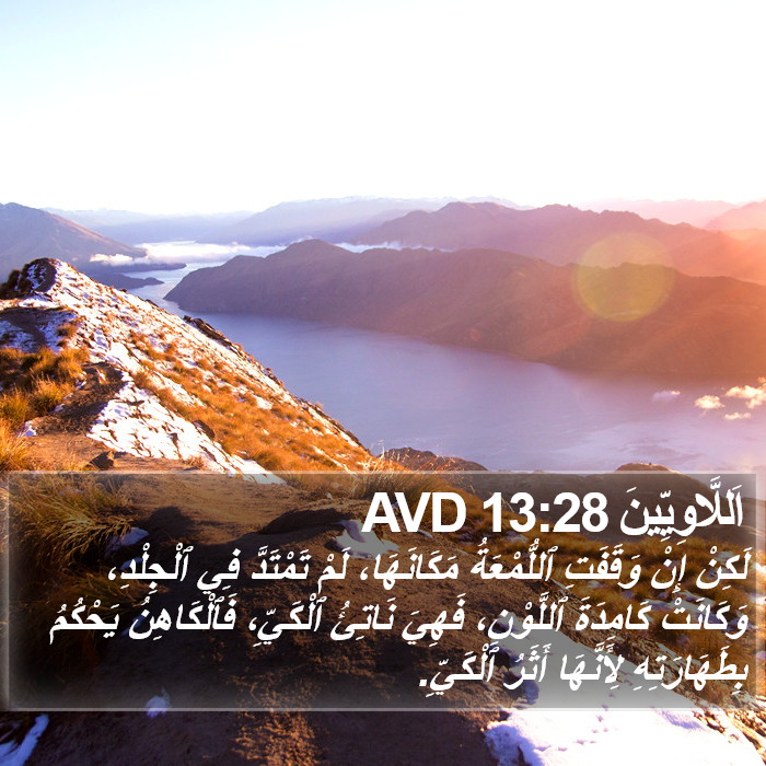 اَللَّاوِيِّينَ 13:28 AVD Bible Study