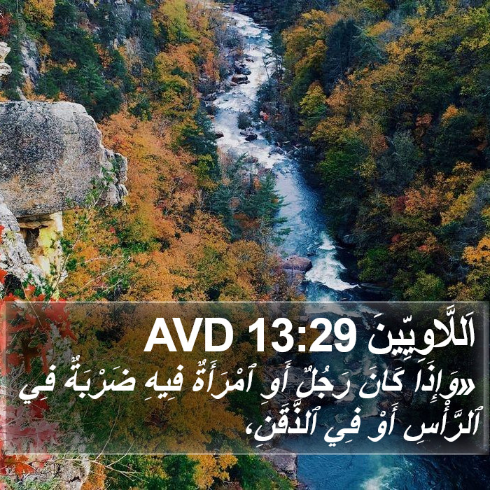 اَللَّاوِيِّينَ 13:29 AVD Bible Study