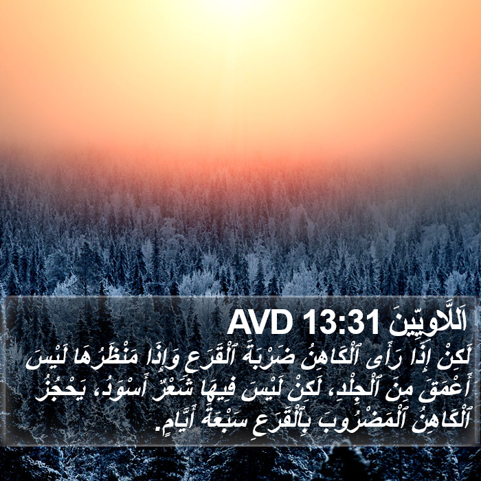 اَللَّاوِيِّينَ 13:31 AVD Bible Study