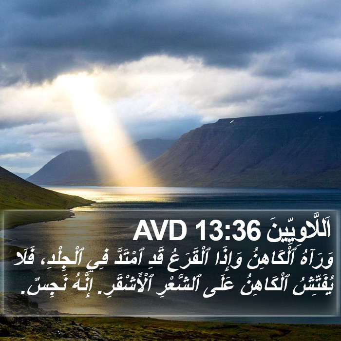 اَللَّاوِيِّينَ 13:36 AVD Bible Study