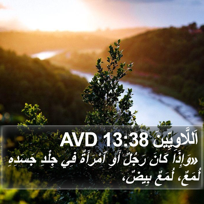 اَللَّاوِيِّينَ 13:38 AVD Bible Study