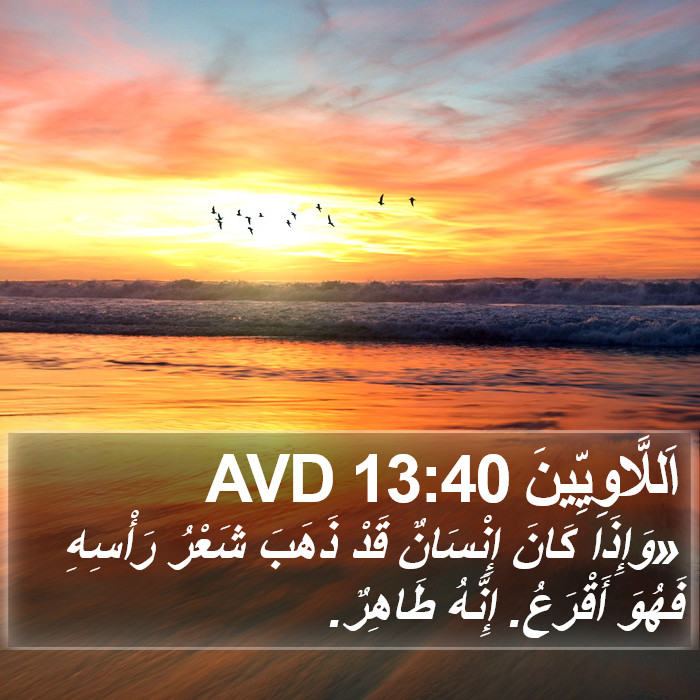 اَللَّاوِيِّينَ 13:40 AVD Bible Study