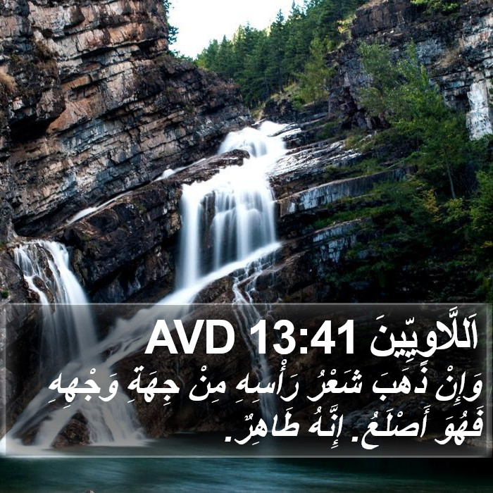 اَللَّاوِيِّينَ 13:41 AVD Bible Study