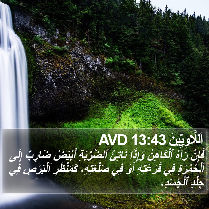 اَللَّاوِيِّينَ 13:43 AVD Bible Study