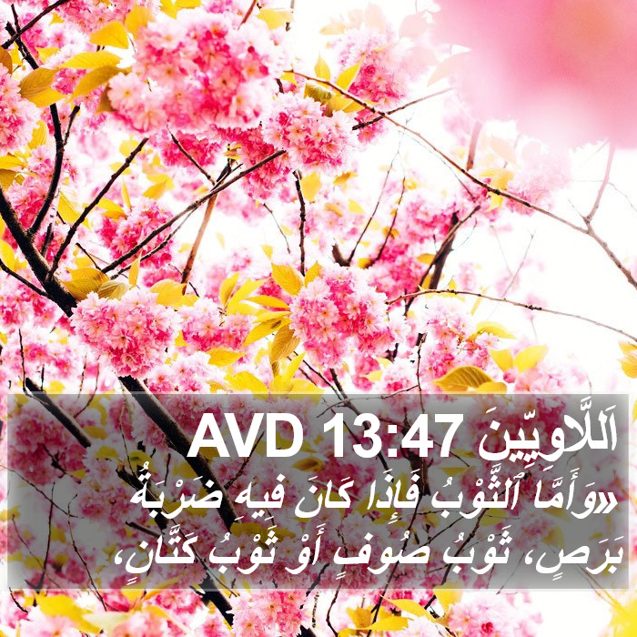 اَللَّاوِيِّينَ 13:47 AVD Bible Study