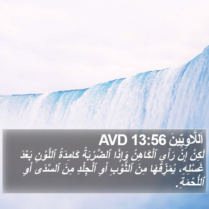 اَللَّاوِيِّينَ 13:56 AVD Bible Study