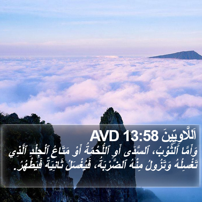 اَللَّاوِيِّينَ 13:58 AVD Bible Study