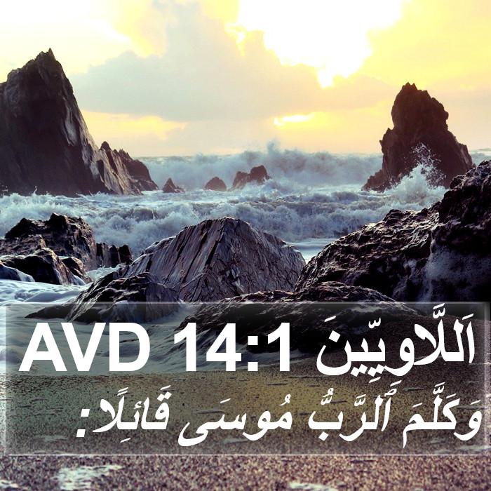 اَللَّاوِيِّينَ 14:1 AVD Bible Study