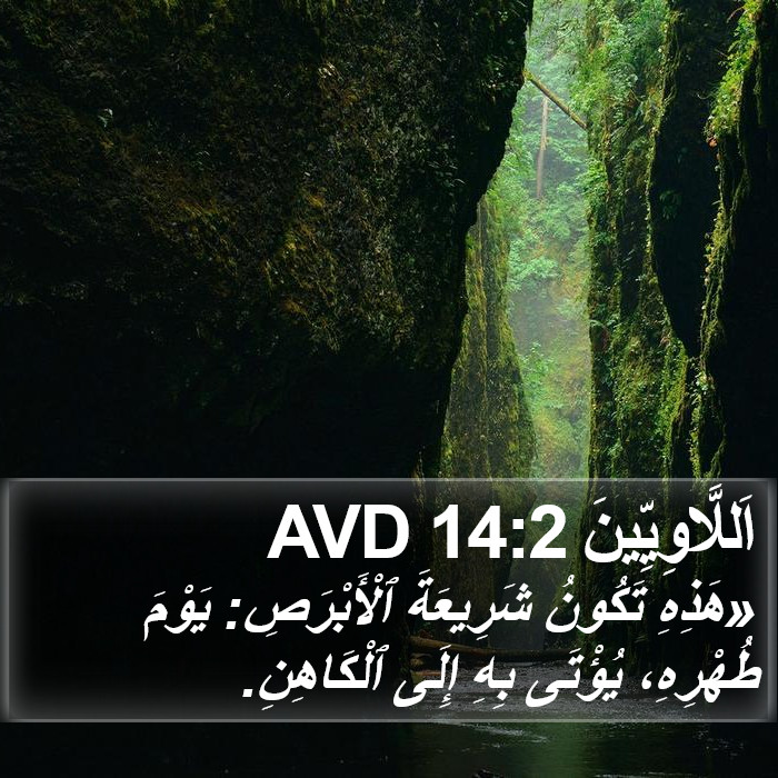 اَللَّاوِيِّينَ 14:2 AVD Bible Study