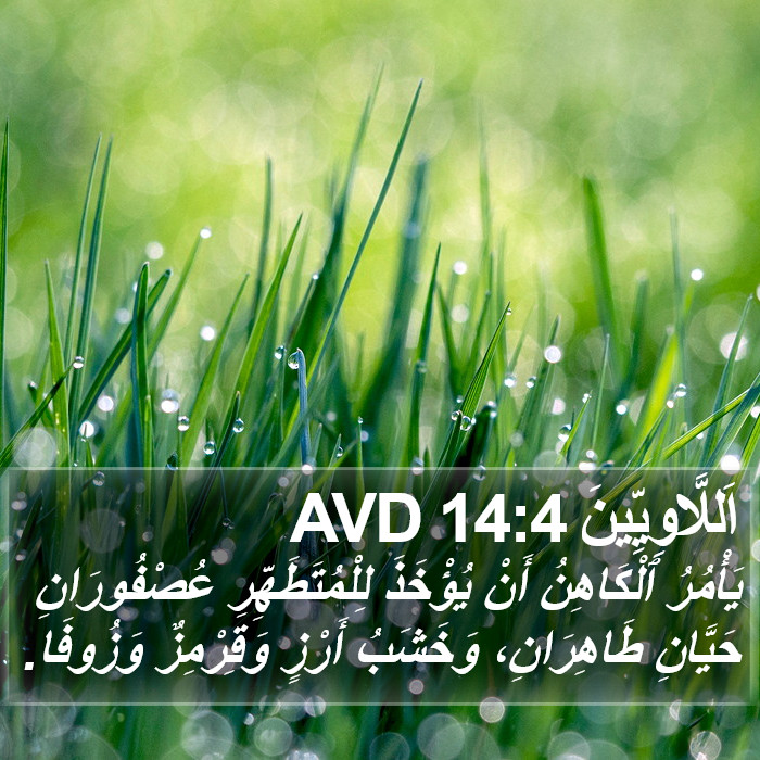 اَللَّاوِيِّينَ 14:4 AVD Bible Study