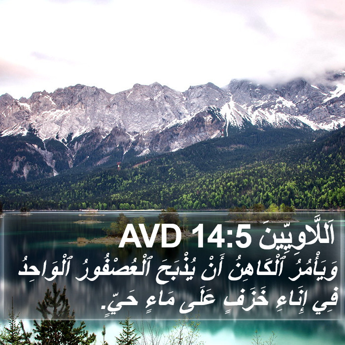 اَللَّاوِيِّينَ 14:5 AVD Bible Study