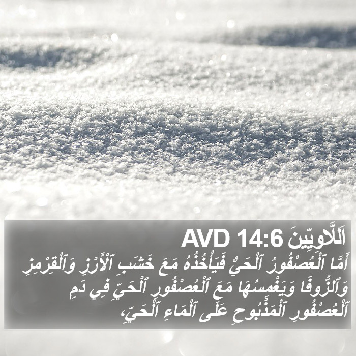 اَللَّاوِيِّينَ 14:6 AVD Bible Study