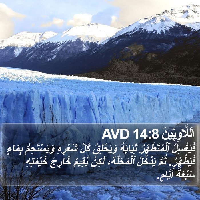 اَللَّاوِيِّينَ 14:8 AVD Bible Study