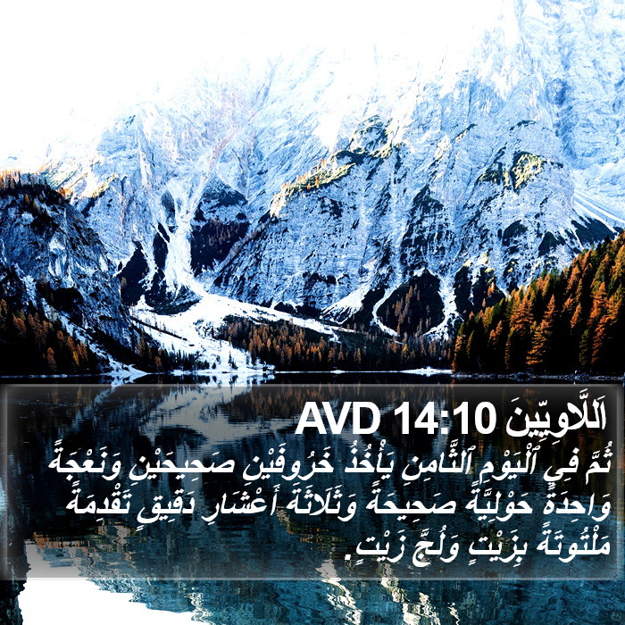اَللَّاوِيِّينَ 14:10 AVD Bible Study