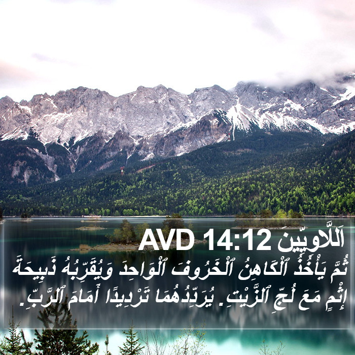اَللَّاوِيِّينَ 14:12 AVD Bible Study