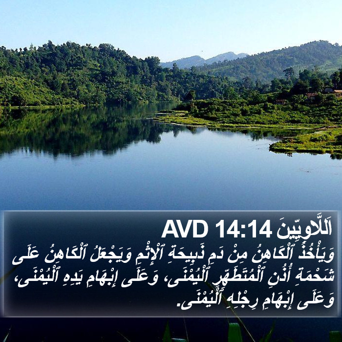 اَللَّاوِيِّينَ 14:14 AVD Bible Study