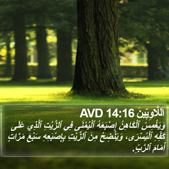اَللَّاوِيِّينَ 14:16 AVD Bible Study